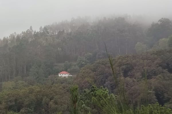 Foto 86 da atividade Galeria de Fotos