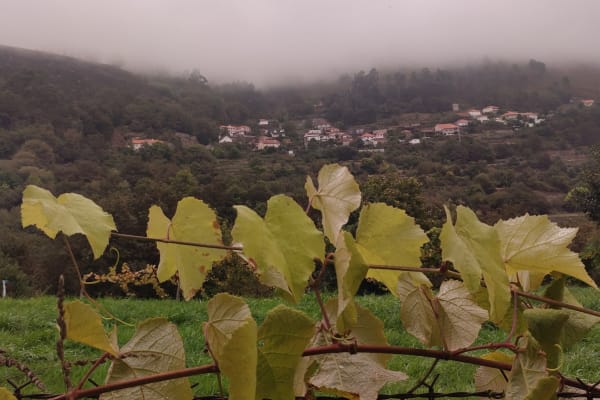 Foto 84 da atividade Galeria de Fotos