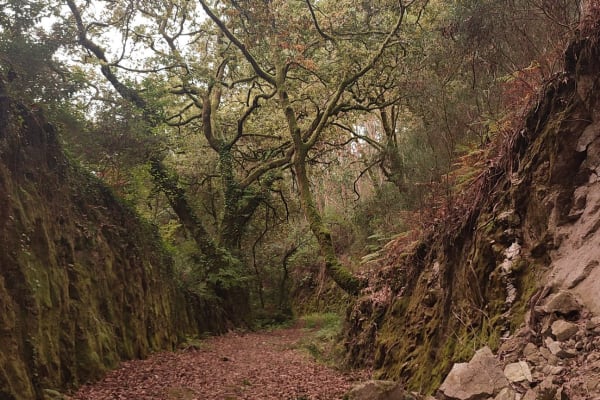 Foto 83 da atividade Galeria de Fotos