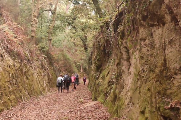 Foto 82 da atividade Galeria de Fotos