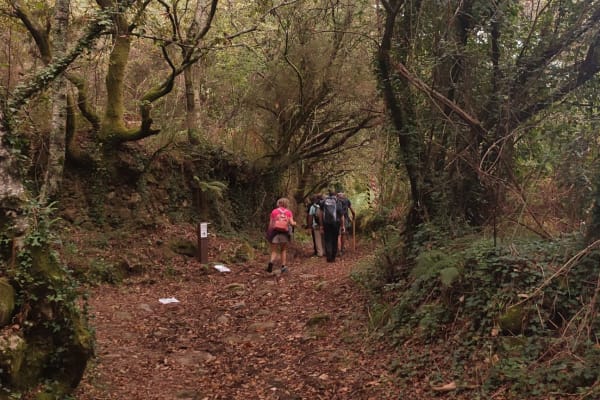 Foto 81 da atividade Galeria de Fotos