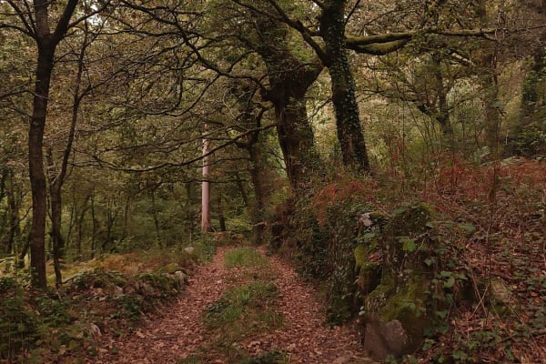 Foto 80 da atividade Galeria de Fotos