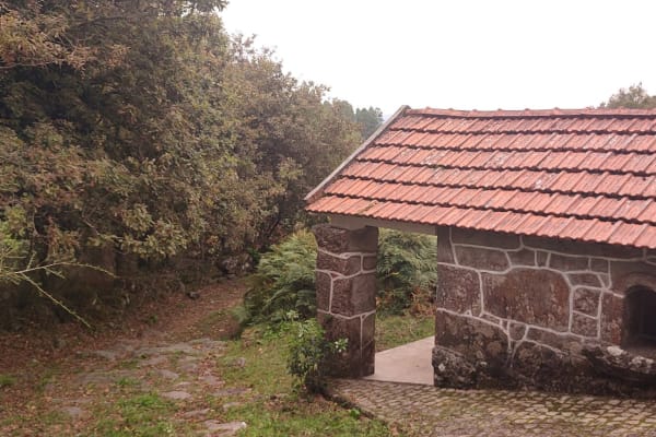 Foto 79 da atividade Galeria de Fotos