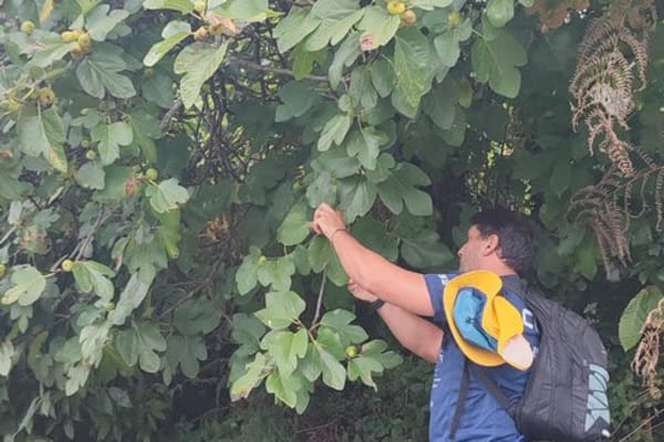 Foto 73 da atividade Galeria de Fotos