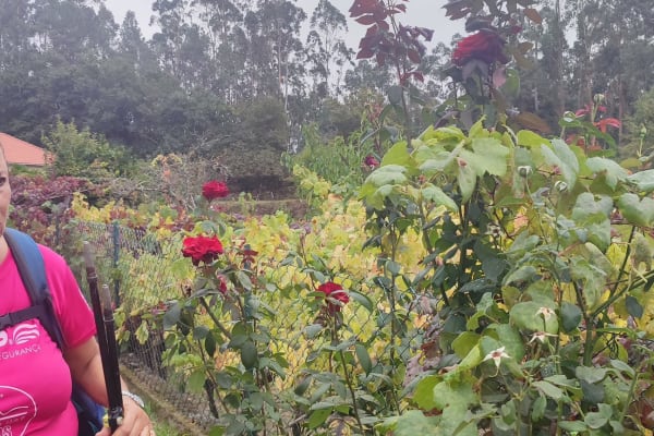 Foto 69 da atividade Galeria de Fotos