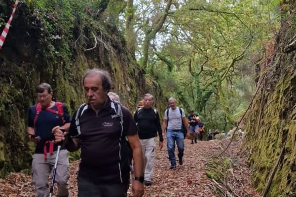 Foto 52 da atividade Galeria de Fotos