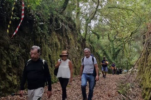 Foto 51 da atividade Galeria de Fotos