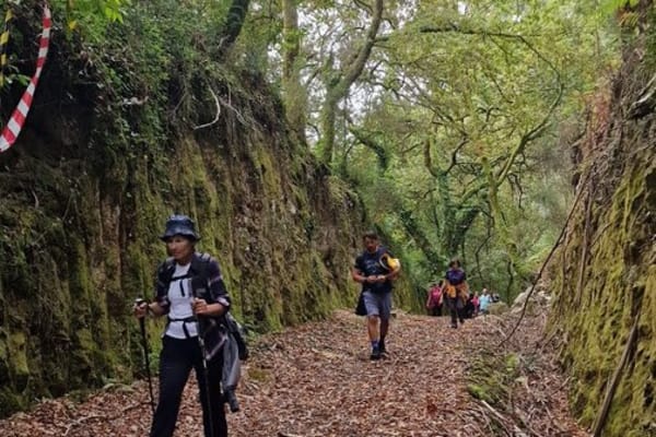 Foto 50 da atividade Galeria de Fotos