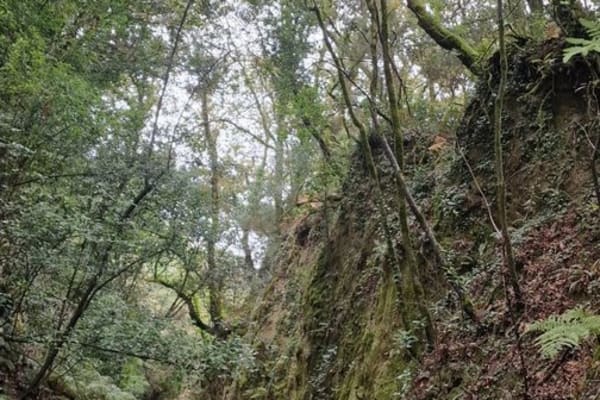 Foto 45 da atividade Galeria de Fotos