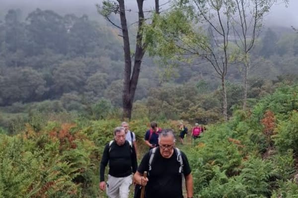 Foto 42 da atividade Galeria de Fotos