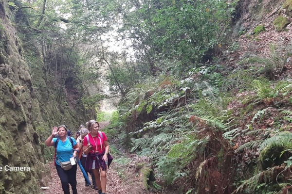 Foto 39 da atividade Galeria de Fotos