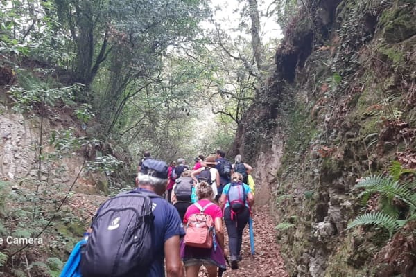 Foto 36 da atividade Galeria de Fotos