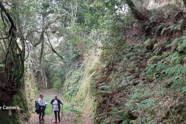 Foto 35 da atividade Galeria de Fotos