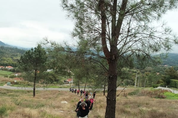 Foto 27 da atividade Galeria de Fotos