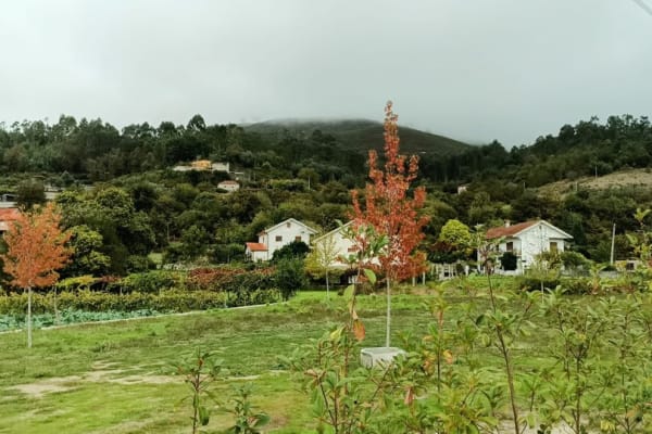 Foto 26 da atividade Galeria de Fotos