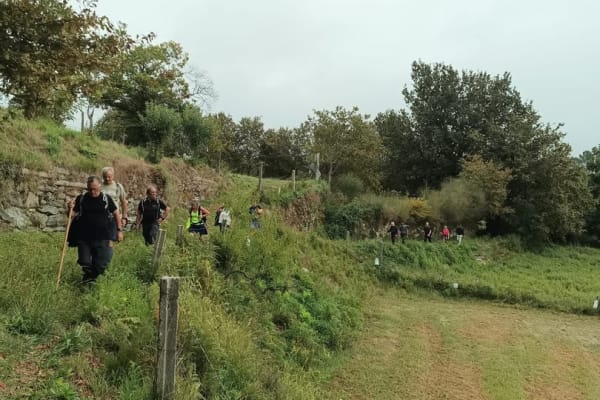 Foto 24 da atividade Galeria de Fotos