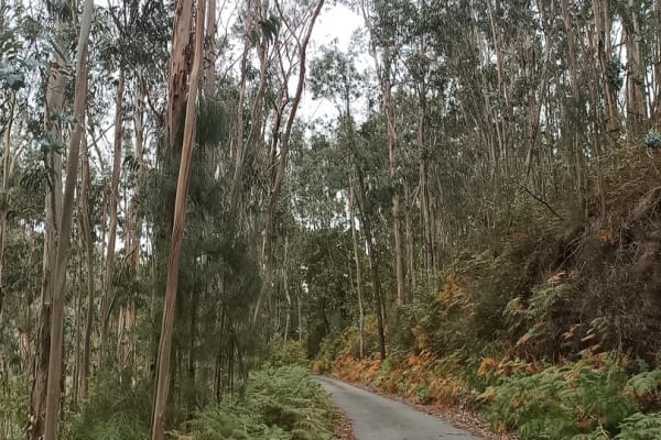 Foto 21 da atividade Galeria de Fotos