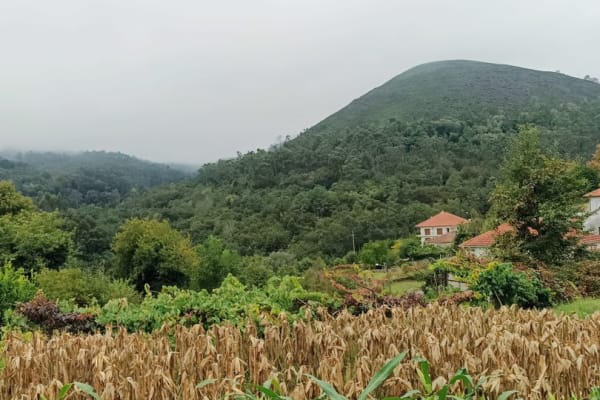 Foto 20 da atividade Galeria de Fotos