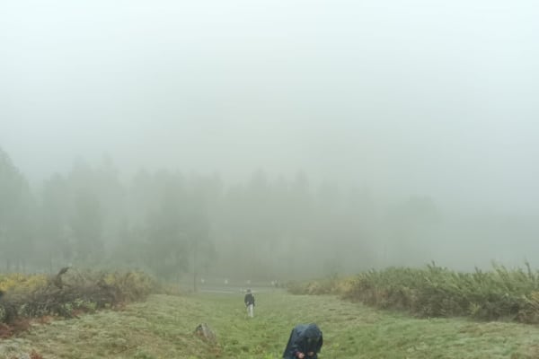 Foto 11 da atividade Galeria de Fotos