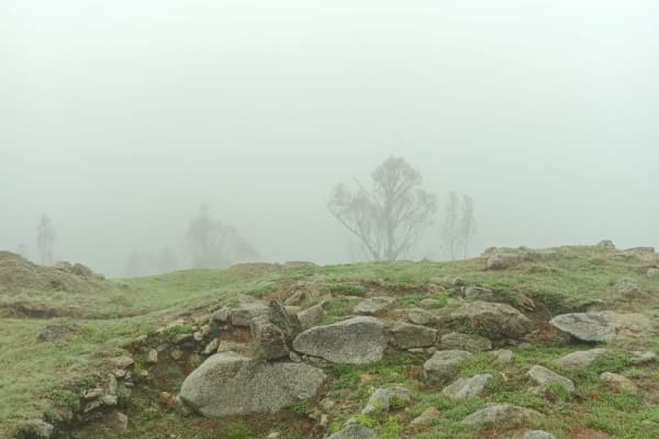 Foto 8 da atividade Galeria de Fotos