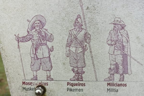 Foto 7 da atividade Galeria de Fotos