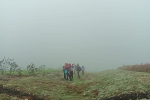 Foto 6 da atividade Galeria de Fotos