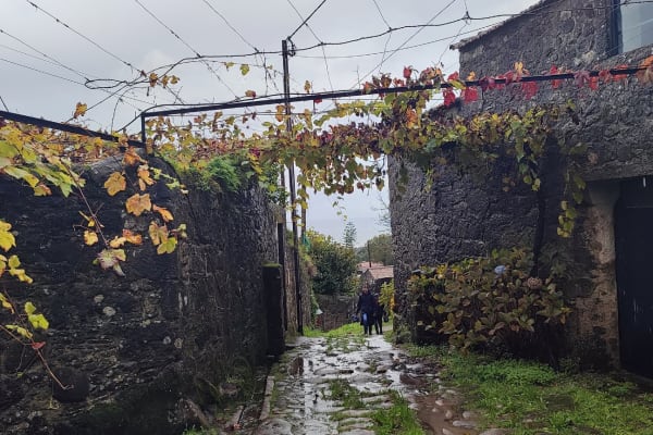 Foto 48 da atividade Galeria de Fotos