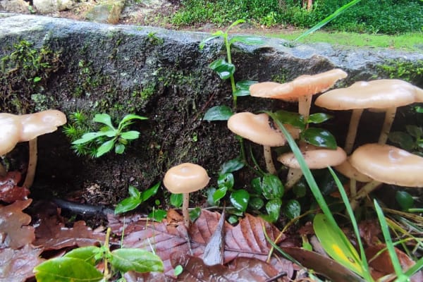 Foto 45 da atividade Galeria de Fotos