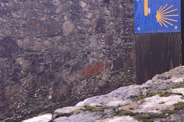 Foto 21 da atividade Galeria de Fotos