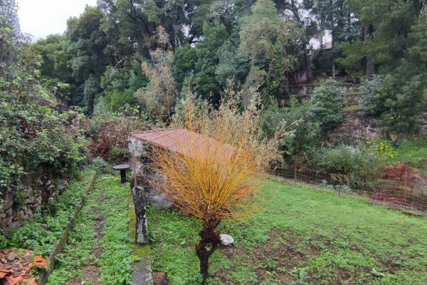 Foto 16 da atividade Galeria de Fotos