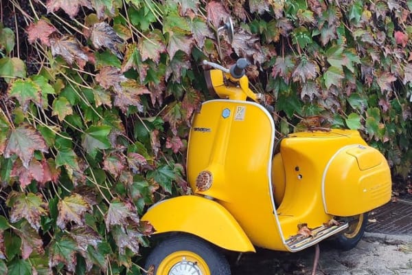 Foto 14 da atividade Galeria de Fotos