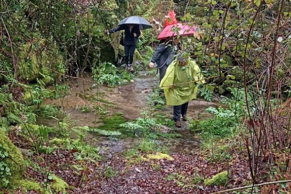 Foto 30 da atividade Galeria de Fotos