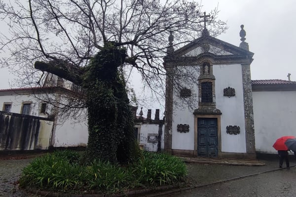 Foto 25 da atividade Galeria de Fotos