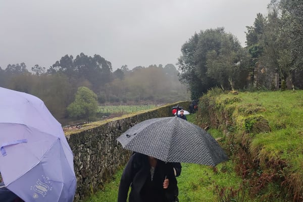 Foto 12 da atividade Galeria de Fotos