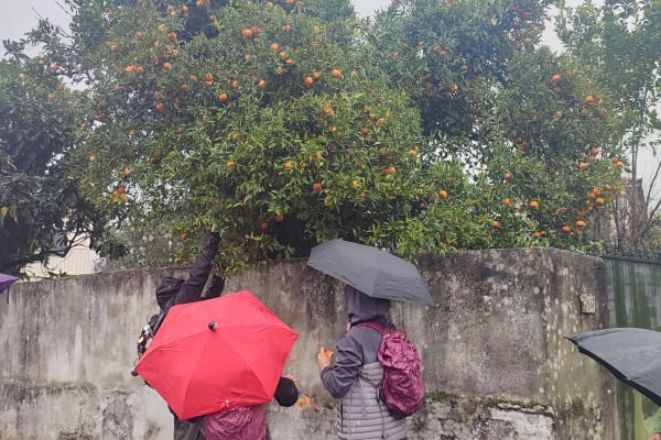 Foto 8 da atividade Galeria de Fotos