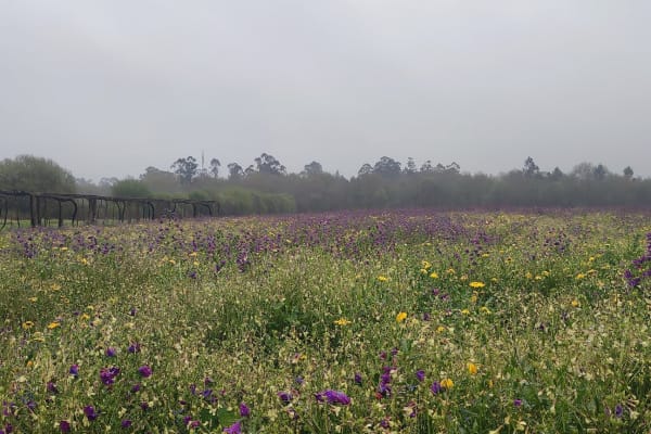 Foto 5 da atividade Galeria de Fotos