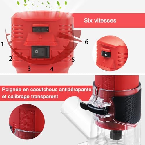 Vue 4 de TEENO Affleureuse à Bois