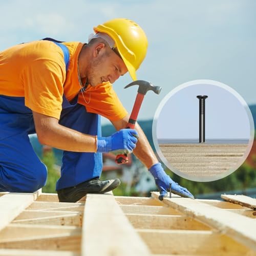 Vue 5 de Pièces de Clous Pointe