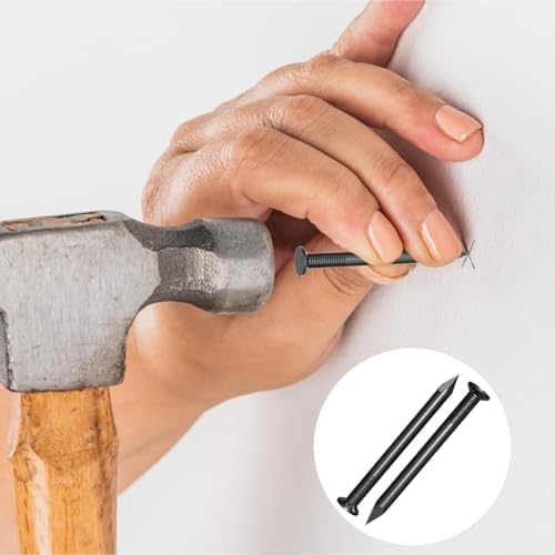 Vue 7 de Pièces de Clous Pointe