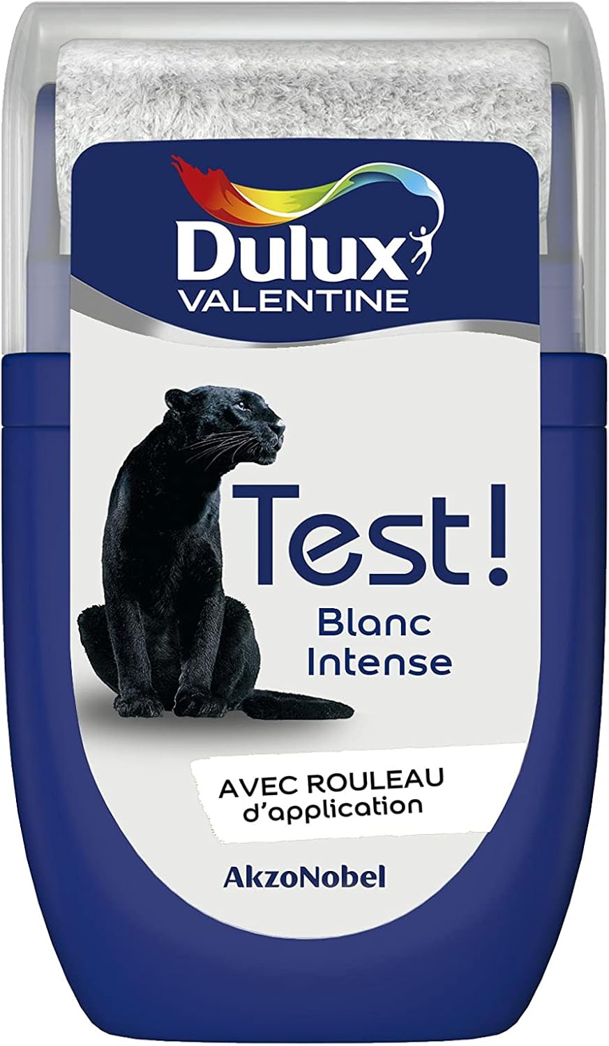 Dulux Valentine Peinture Blanc Intense