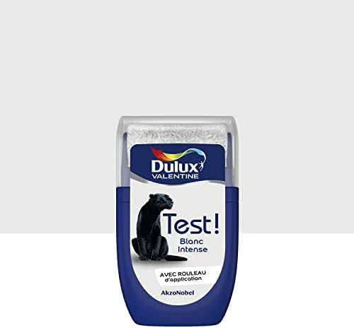 Vue 2 de Dulux Valentine Peinture Testeur