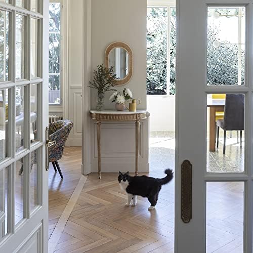 Vue 5 de V Peinture glycéro blanche