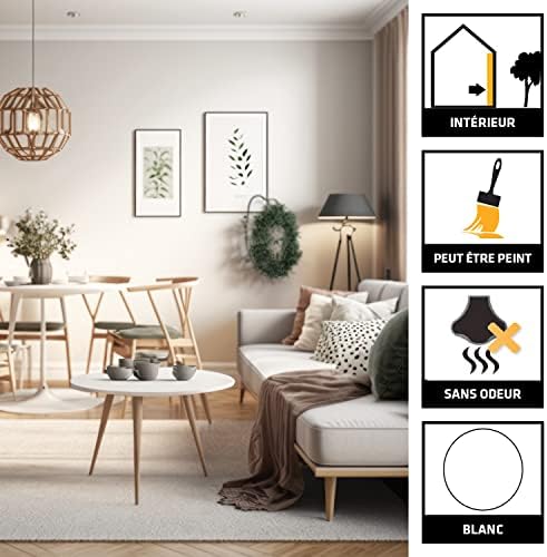 Vue 3 de SIKA Mastic acrylique SikaSeal