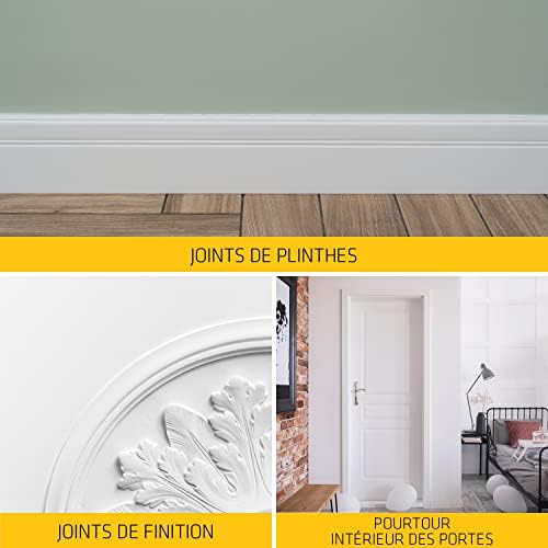 Vue 7 de SIKA Mastic acrylique SikaSeal