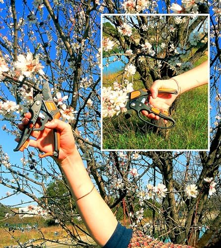 Vue 4 de Sécateur à crémaillère Access