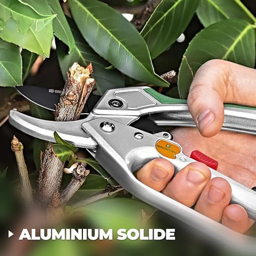 Vue 5 de GRÜNTEK Sécateur de Jardin