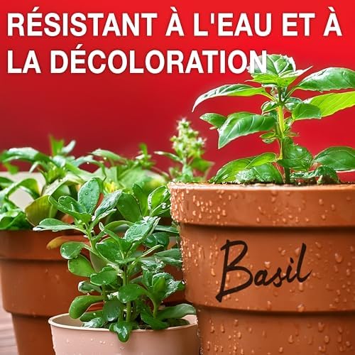 Vue 4 de Sharpie marqueurs indélébiles pointe