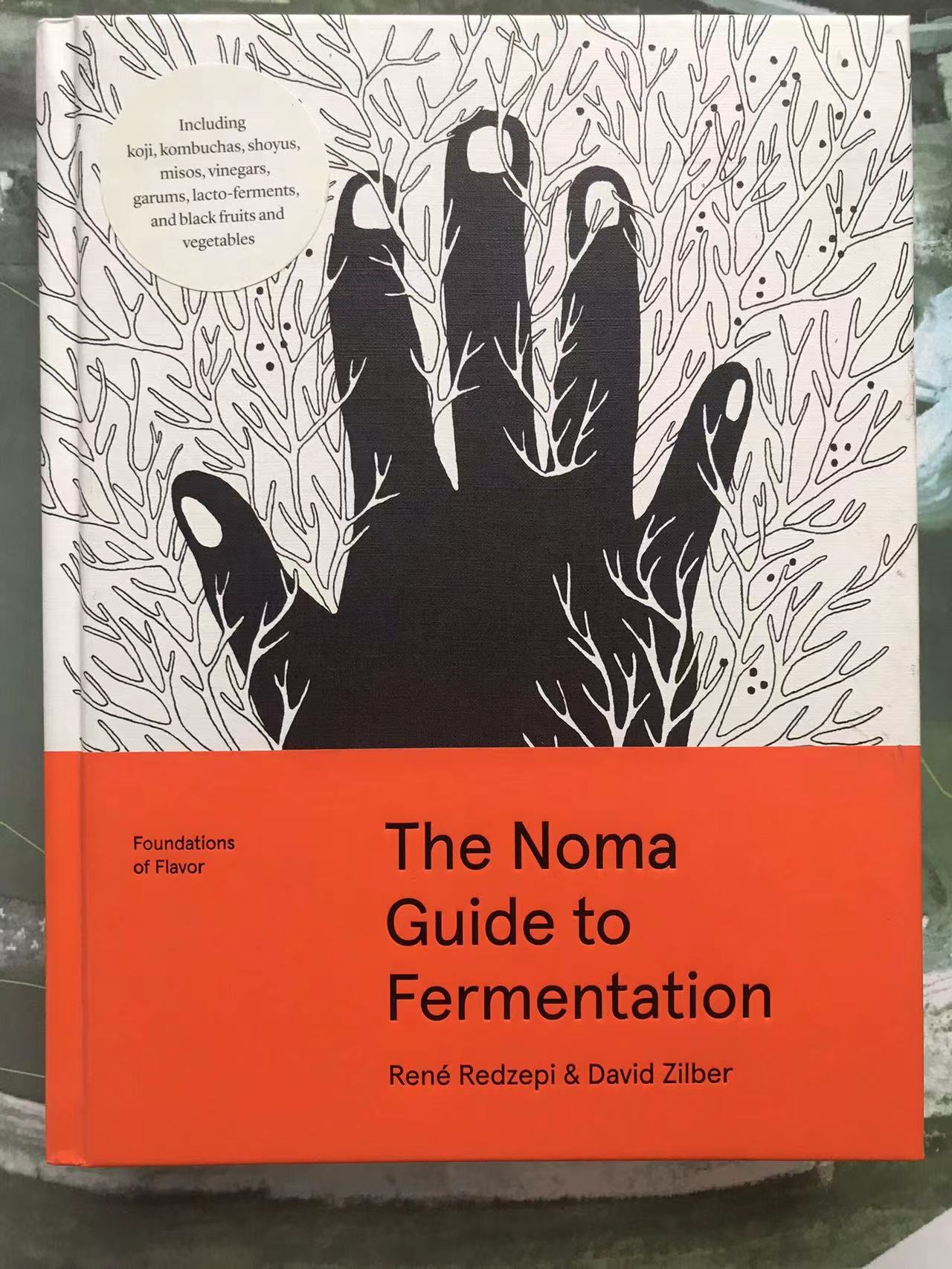Noma 发酵指南图书封面