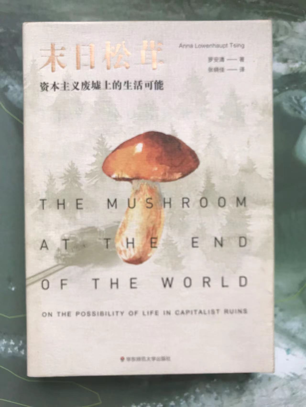 末日松茸图书封面
