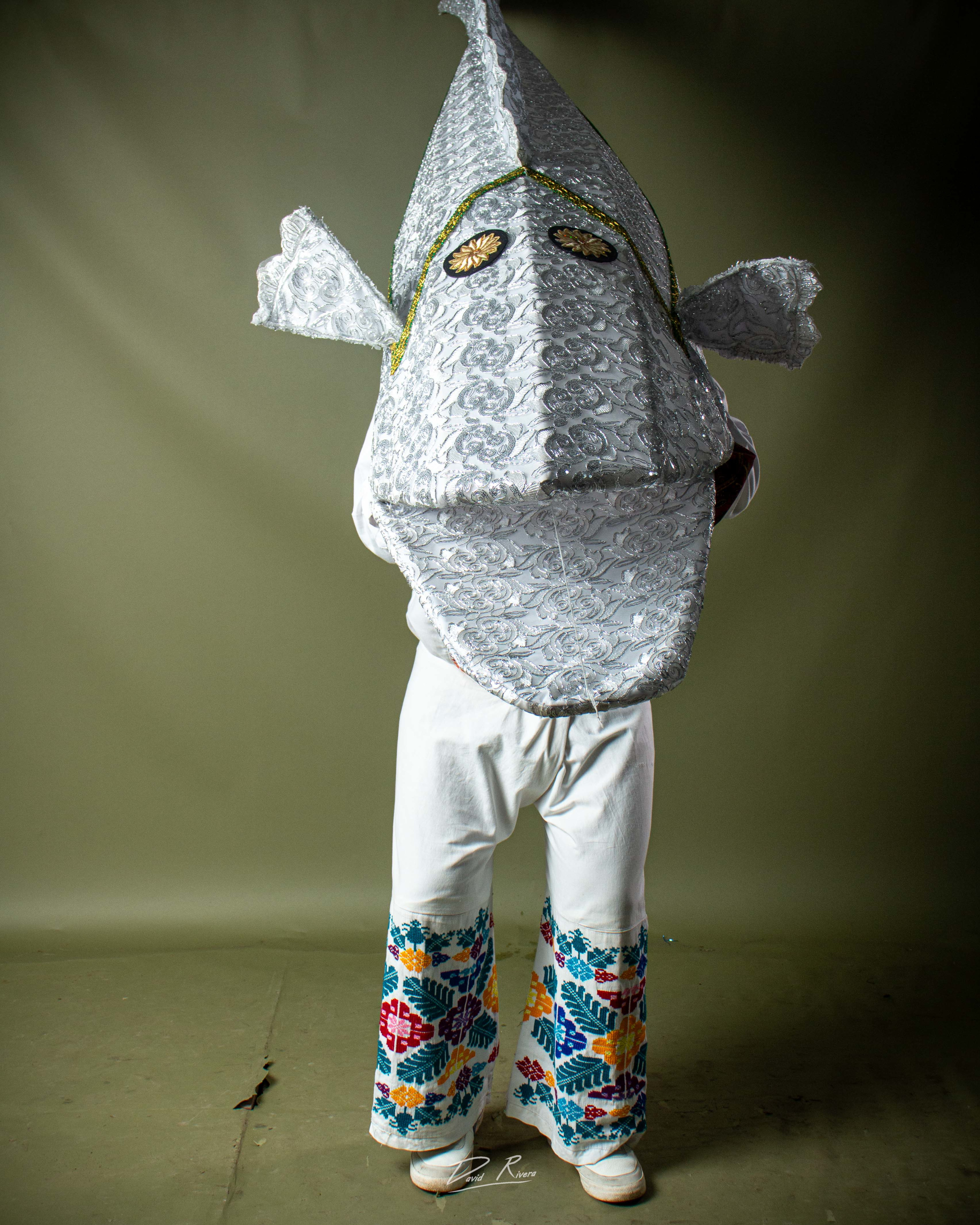 DANZA DEL PESCADO BLANCO DE JANITZIO - Fotografía 2